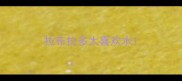 拉布拉多太喜欢水