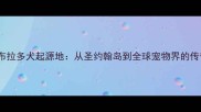 拉布拉多犬起源地从圣约翰岛到全球宠物界的传奇