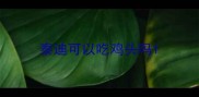 泰迪可以吃鸡头吗
