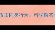 拉布拉多犬攻击同类行为科学解答与养护指南