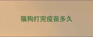 猫狗打完疫苗多久