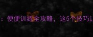 哈士奇vs拉布拉多便便训练全攻略这5个技巧让宠物秒变乖宝宝