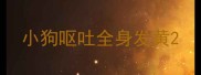 小狗呕吐全身发黄