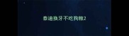 泰迪换牙不吃狗粮