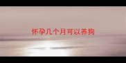 怀孕几个月可以养狗