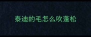 泰迪的毛怎么吹蓬松