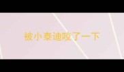 被小泰迪咬了一下