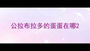 公拉布拉多的蛋蛋在哪