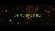 3个月大德牧拉稀
