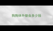 狗狗体外驱虫多少钱