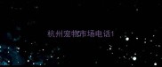 杭州宠物市场电话