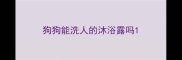 狗狗能洗人的沐浴露吗