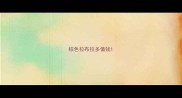 棕色拉布拉多值钱