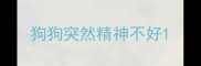 狗狗突然精神不好