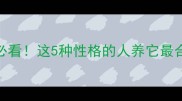 哈士奇爱好者必看这5种性格的人养它最合适附选犬指南