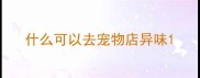 什么可以去宠物店异味