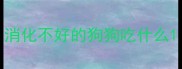 消化不好的狗狗吃什么
