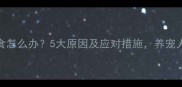 狗狗吐食怎么办5大原因及应对措施养宠人必看