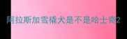 阿拉斯加雪橇犬是不是哈士奇