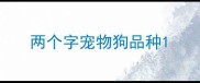 两个字宠物狗品种