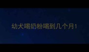 幼犬喝奶粉喝到几个月