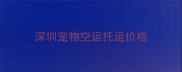 深圳宠物空运托运价格