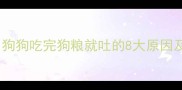 紧急处理狗狗吃完狗粮就吐的8大原因及应对指南