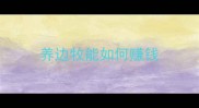 养边牧能如何赚钱