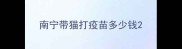 南宁带猫打疫苗多少钱