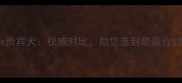 泰迪犬vs贵宾犬权威对比助您选到最适合的伴侣犬