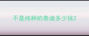 不是纯种的泰迪多少钱