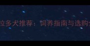 绵阳优质黑色拉布拉多犬推荐饲养指南与选购全攻略附品种