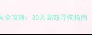 4个月哈士奇走失全攻略30天高效寻狗指南附真实案例