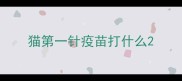 猫第一针疫苗打什么