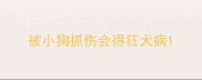 被小狗抓伤会得狂犬病