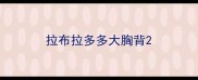拉布拉多多大胸背