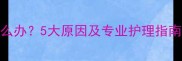 拉布拉多左眼流泪怎么办5大原因及专业护理指南附紧急处理方案