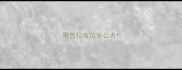 黑色拉布拉多公犬