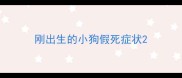 刚出生的小狗假死症状