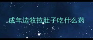 成年边牧拉肚子吃什么药