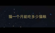 猫一个月能吃多少猫粮