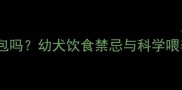泰迪幼犬能吃面包吗幼犬饮食禁忌与科学喂养指南附食谱