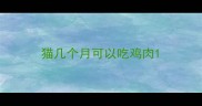 猫几个月可以吃鸡肉