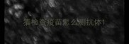 猫检查疫苗怎么测抗体