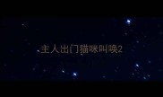 主人出门猫咪叫唤