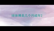 球体博美几个月成年