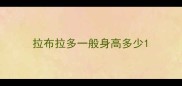 拉布拉多一般身高多少
