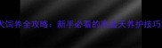 拉布拉多母犬饲养全攻略新手必看的高温天养护技巧与训练指南