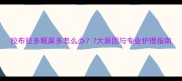 拉布拉多眼屎多怎么办7大原因与专业护理指南