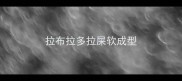 拉布拉多拉屎软成型